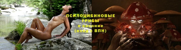 сатива Алексин