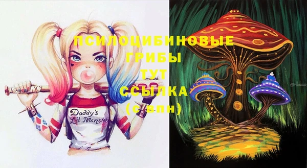 apvp Алексеевка