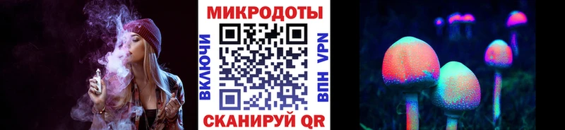как найти закладки  Петровск-Забайкальский  Псилоцибиновые грибы ЛСД 